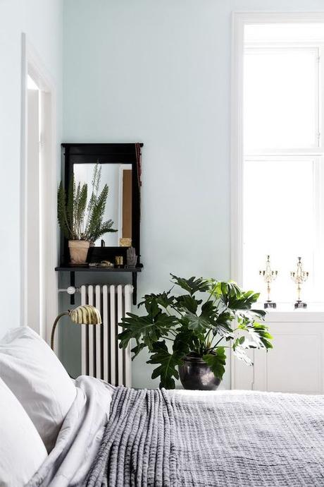 Urban Jungle Bloggers: Plantas en casa