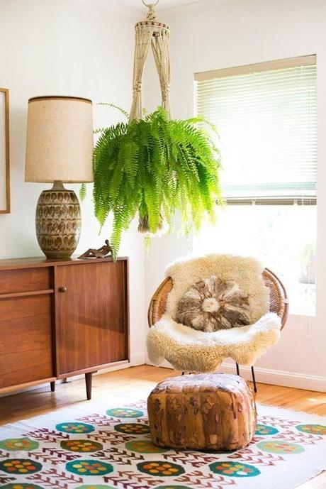 Urban Jungle Bloggers: Plantas en casa