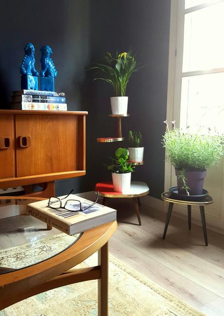 Urban Jungle Bloggers: Plantas en casa