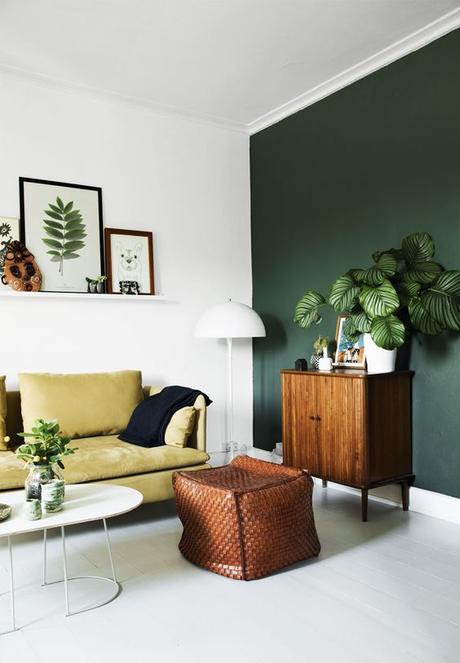 Urban Jungle Bloggers: Plantas en casa