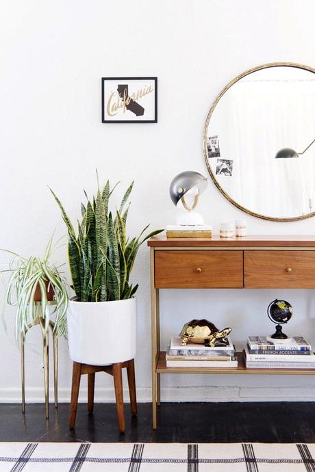 Urban Jungle Bloggers: Plantas en casa