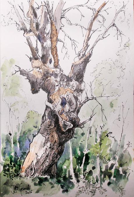 Segura, Cazorla y las Villas