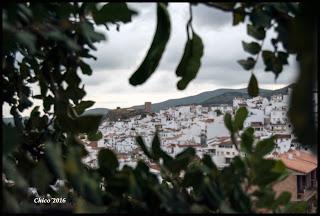 rincones de Almogía 3