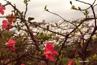 rincones de Almogía 3