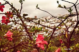 rincones de Almogía 3