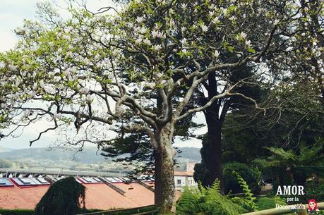 (ESCAPADAS) PUENTEDEUME (ESCAPADAS) PUENTEDEUME