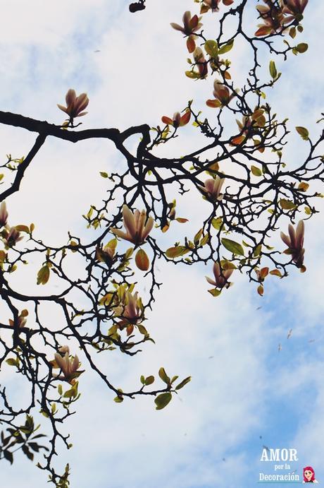 (ESCAPADAS) PUENTEDEUME (ESCAPADAS) PUENTEDEUME