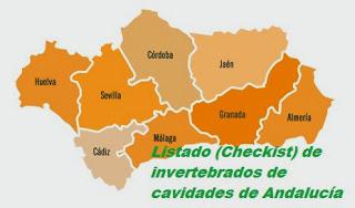 Actualizado el Checklist de Andalucía