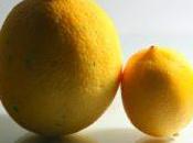 Sanción según capacidad económica sancionado