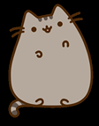 Booktag # 1 - Pusheen