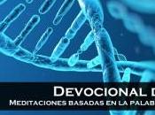 Fidelidad condición