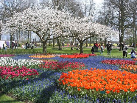 Los Jardines más hermosos del mundo (1ra. parte)