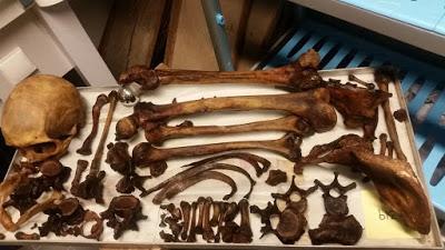 La ciencia en la sombra. Una reseña personal [libro]