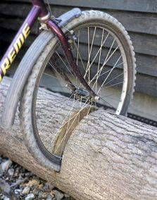 20. Repurpose a fallen tree into a bike stand