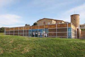 11116906775_aa9a748702