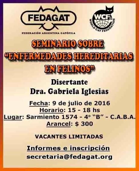 seminario enfermedades felinas