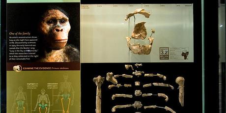Museo-de-Historia-Natural-de-Londres-4