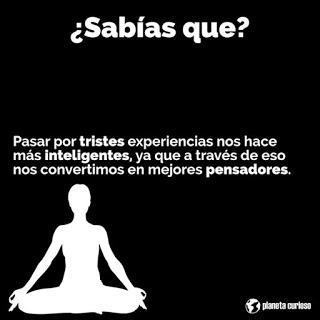 INTELIGENCIA