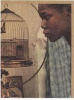 Yo sé por qué canta el pájaro enjaulado - Maya Angelou