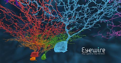 @Eye_Wire. Juega mientras contribuyes al conocimiento del cerebro       #Neurociencia