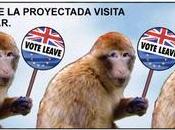 escrúpulos Sánchez