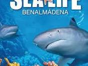 Excursión acuario
