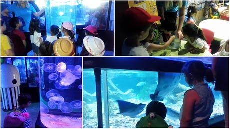 EXCURSIÓN AL ACUARIO