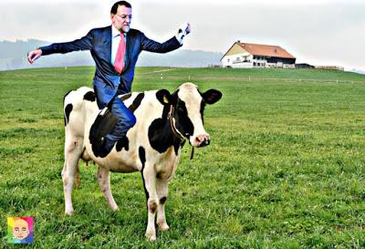 En el ecuador de una campaña para unos, deseperada; para otros, esperanzadora.