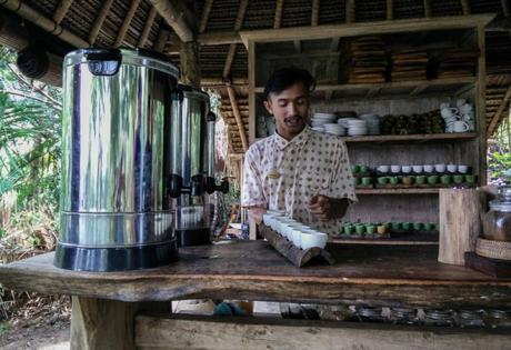 Kopi Luwak, el café más caro del mundo