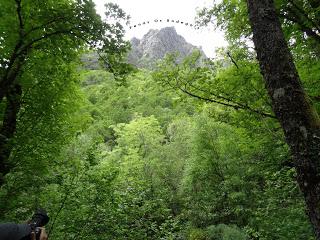 Burbia-La Grandela-Pico Mostallal-Villouso