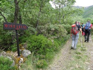 Burbia-La Grandela-Pico Mostallal-Villouso