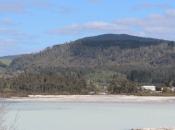 hacer Rotorua. Ciudad volcánica