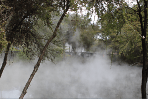 Qué ver y hacer en Rotorua. Ciudad volcánica