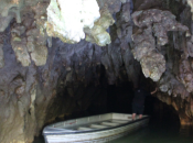 hacer Otorohanga. Cuevas Waitomo