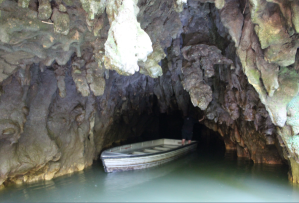 Qué ver y hacer en Otorohanga. Cuevas de Waitomo