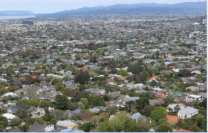 Qué ver y hacer en Auckland