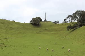 Qué ver y hacer en Auckland