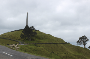 Qué ver y hacer en Auckland