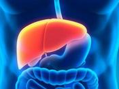 Enfermedad hígado graso: Nuevos conocimientos importante causa complicaciones diabetes