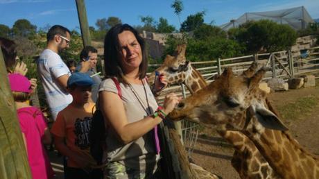 La jirafa quería también mi mano agggg