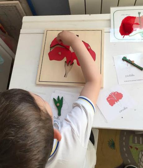 Montessori Stories: Alessandra Mosquera (Nuestros momentos Montessori)