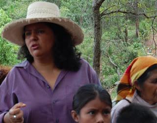 El capital no cree en los ambientalistas que defienden la vida