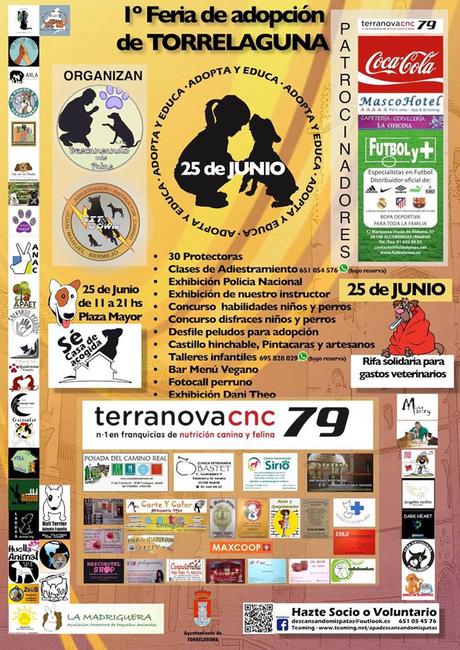 feria de adopcion torrelaguna
