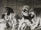 Aspectos legales blog.