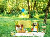 Preboda. Ideas para Bonito Picnic+Propuestas.