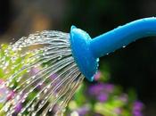 Trucos para regar vacaciones