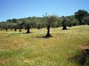 Estos colores este junio…