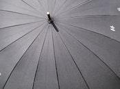 Paraguas pintado mano