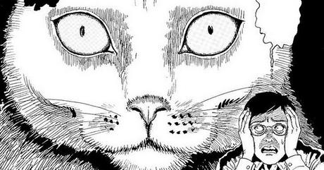 [Engullendo viñetas] 'El diario gatuno de Junji Ito: Yon y Mû', de Junji Ito