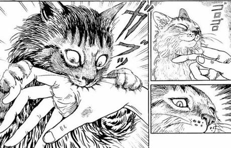 [Engullendo viñetas] 'El diario gatuno de Junji Ito: Yon y Mû', de Junji Ito